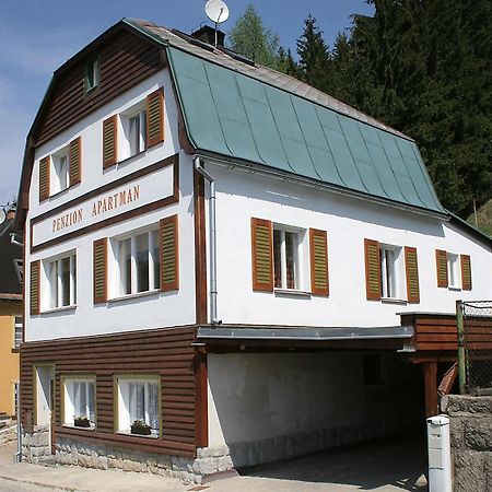 Penzion Apartmán Janov Janov nad Nisou Exteriér fotografie
